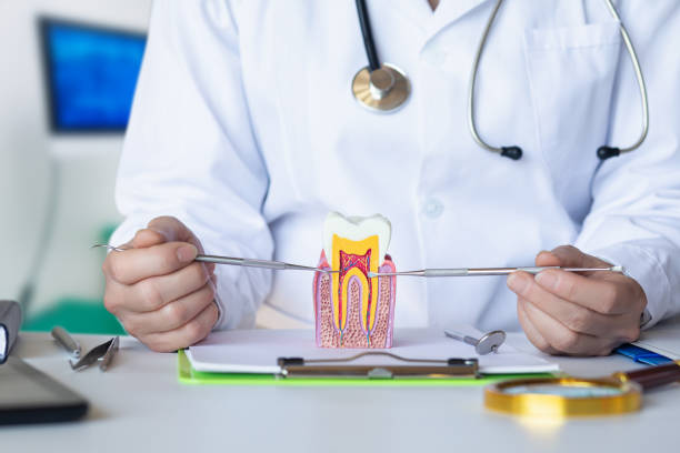 Best Emergency Treatment for Dental Infections or Abscesses in Moorefield, WV